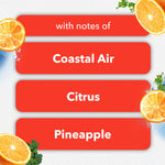 Infographic panel listing scent notes: Coastal Air, Citrus, Pineapple with orange slice illustrations