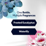 Graphic panel showing two fragrance options: Frosted Eucalyptus and Waterlily with floral accents