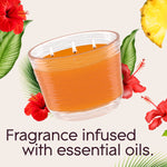 Single orange Glade 3-wick candle with tropical hibiscus and pineapple graphics and text 'Fragrance infused with essential oils'