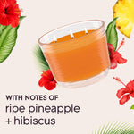 Close-up of an orange Glade 3-wick candle with tropical leaves, hibiscus flowers and pineapple artwork and copy about scent notes
