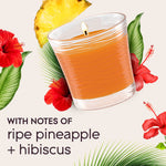Illustrated orange Glade jar candle surrounded by pineapple slice, hibiscus flowers and leaves with 'ripe pineapple + hibiscus' text