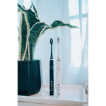 Two Gleem toothbrushes, one black and one white, styled upright on a tray beside a potted plant by a window.