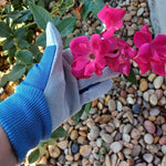 Gloved hand wearing a light leather and blue canvas gardening glove holding a pink rose bloom over pebble ground