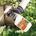 Gloved hand holding and spraying a Bonide Captain Jack's Copper Fungicide bottle toward garden foliage