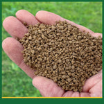 Close-up of brown granular fertilizer in an open hand against a blurred green background