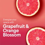 Close-up grapefruit halves on coral background with copy promoting grapefruit & orange blossom scent