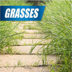Stone pathway bordered by tall lawn grass with a blue banner labeled 'GRASSES'