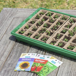 Green Back to the Roots drip tray filled with a 50-cell plantable insert and young seedlings on a weathered wooden table
