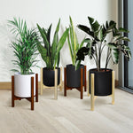 Four wooden plant stands in mixed light and dark finishes arranged on a pale wood floor with potted plants