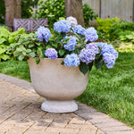 Outdoor scene showing the gypsum urn planter holding blooming blue hydrangeas on a patio