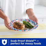 Person holding a Dixie Ultra paper plate with food; plate has red, white and blue patterned rim on a light background