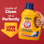 Hand holding a yellow ARM & HAMMER detergent jug against a red background with a 'LOW PRICE' arrow graphic.