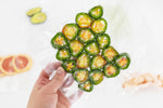Hand holding a vacuum-sealed textured bag of stuffed jalapeño slices against a white background