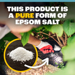 Close-up lifestyle image showing hand spooning white Epsom salt near plant with inset pile of salt and explanatory text