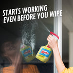 Hand spraying Windex disinfectant onto a glass surface, product and reflection visible with copy about working before you wipe