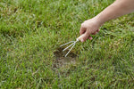 Close-up of a hand using a small garden cultivator on a bare patch in a grassy lawn