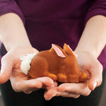 Hands offering a single detailed bunny-shaped cake with a textured coconut tail and pink ear accents