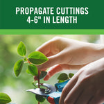 Photo of hands using pruning shears on a small green cutting under text about propagating cuttings 4-6 inches