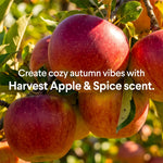 Close-up of ripe red apples on a tree with overlay text promoting Harvest Apple & Spice scent