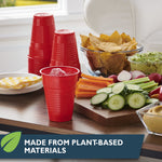 Hefty red cup with ice in front of a platter of cut vegetables and bowls of dip