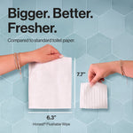 Two hands holding wipes to show size comparison with dimensions and Honest Flushable Wipe label at bottom