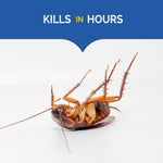 Close-up photograph of a dead roach on its back against a white background with headline 'Kills in Hours'