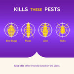 Purple infographic panel showing stylized insects with crosshairs labeled bed bugs, fleas, lice and ticks