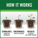 Illustrated diagram titled how it works showing three pots with progressive root development stages
