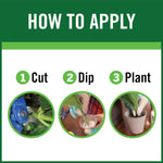 Instruction graphic showing three steps to apply rooting hormone: cut, dip, plant with circular photos