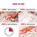 Four-step how-to-use graphic showing wiping, spraying, waiting 15 minutes and blotting a carpet