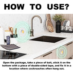 instruction graphic showing how to place roach bait stations in a kitchen near sink and cabinets with text explaining to stick bait where roaches gather