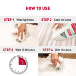 How to use infographic in four panels showing wipe up mess, pour product, wait 15 minutes, then blot the area