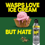 Ice cream in a waffle bowl alongside a Raid Defend can and cartoon wasp with large text reading wasps love ice cream