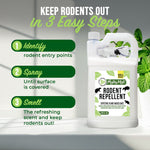 Instructional image showing a jug of Mighty Mint and three steps: Identify, Spray, Smell to keep rodents out