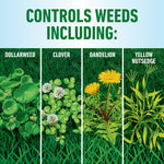 Illustrated panel showing weeds controlled: dollarweed, clover, dandelion and yellow nutsedge with green header text.
