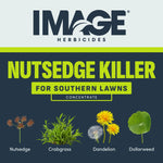 Promotional flat graphic with IMAGE Herbicides logo and illustrations of nutsedge, crabgrass, dandelion and dollarweed