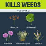 Informational graphic titled "Kills Weeds" showing labeled photos of nutsedge, dollarweed, wild onion, annual bluegrass and sandbur