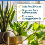 Sunlit indoor plants on a windowsill with a checklist panel stating safe for all plants, supports root development, promotes stronger growth