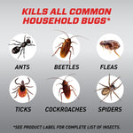 Illustrated insect icons showing ants, beetles, fleas, ticks, cockroaches and spiders labeled as common household bugs