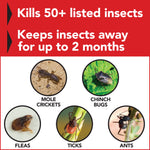 Red infographic panel showing images and labels for mole crickets, chinch bugs, fleas, ticks and ants.