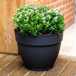 Black plastic planter on a wooden deck filled with soil and a low white-flowered plant