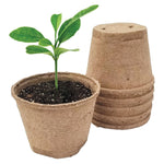 One filled peat pot with soil and seedling next to an inverted stack of peat pots, textured biodegradable material visible