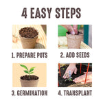 Four-step visual guide for peat pots showing prepare pots, add seeds, germination and transplant steps