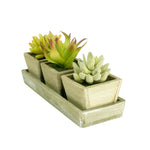 Angled perspective of three artificial succulents in square ceramic pots set on a rectangular wooden tray