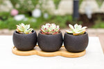 Three black textured mini cement planters on a bamboo tray holding small succulents, photographed outdoors with blurred background.