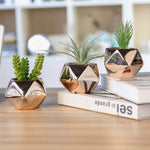 Three glossy copper geometric succulent planters staged on a wooden surface with small faux succulents