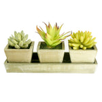 Three faux succulents in square distressed ceramic pots arranged on a rectangular wooden tray