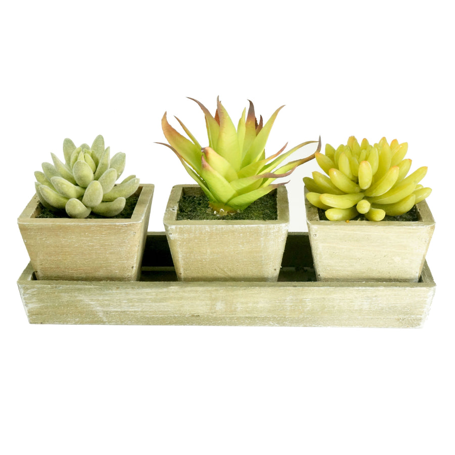 Three faux succulents in square distressed ceramic pots arranged on a rectangular wooden tray