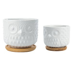 Front-facing K‑Cliffs white owl ceramic planters on bamboo saucers, clean white finish and embossed owl texture on pots.