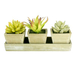 Front-facing view of three artificial succulents in square pots seated in a weathered wooden tray